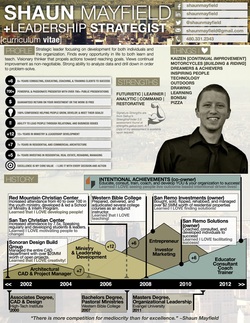 infographic resume, cirriculum vitae, infographic